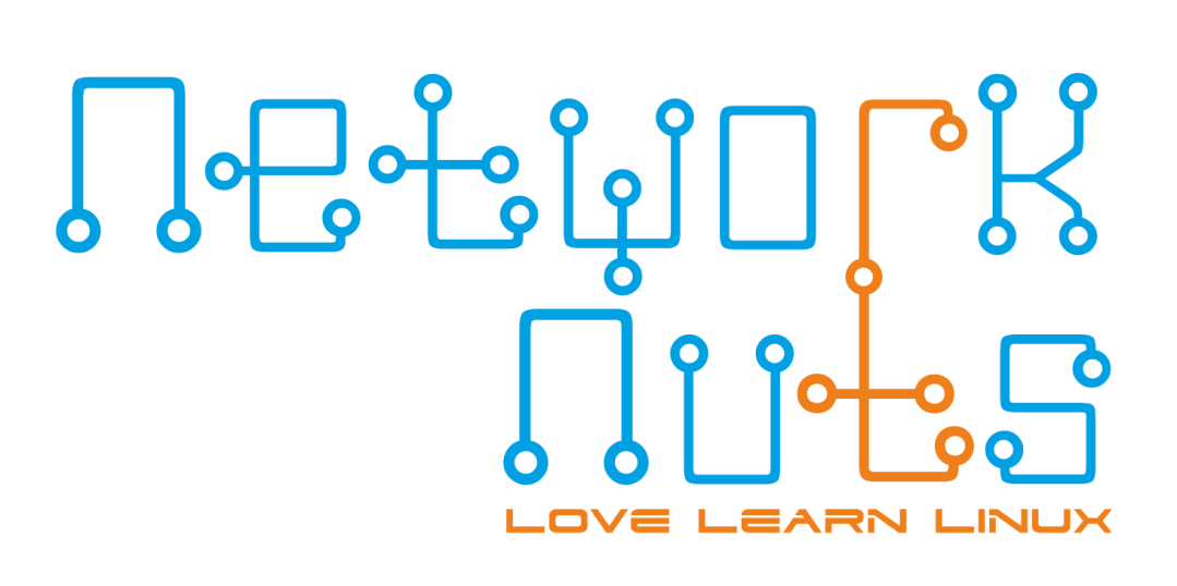 65953881194033c76f23026e_networknuts-logo-blue