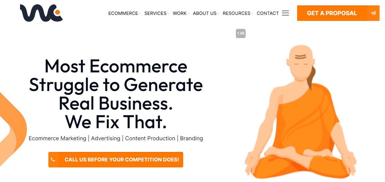 Web Chanakya The most ecommerce agency marketing in India